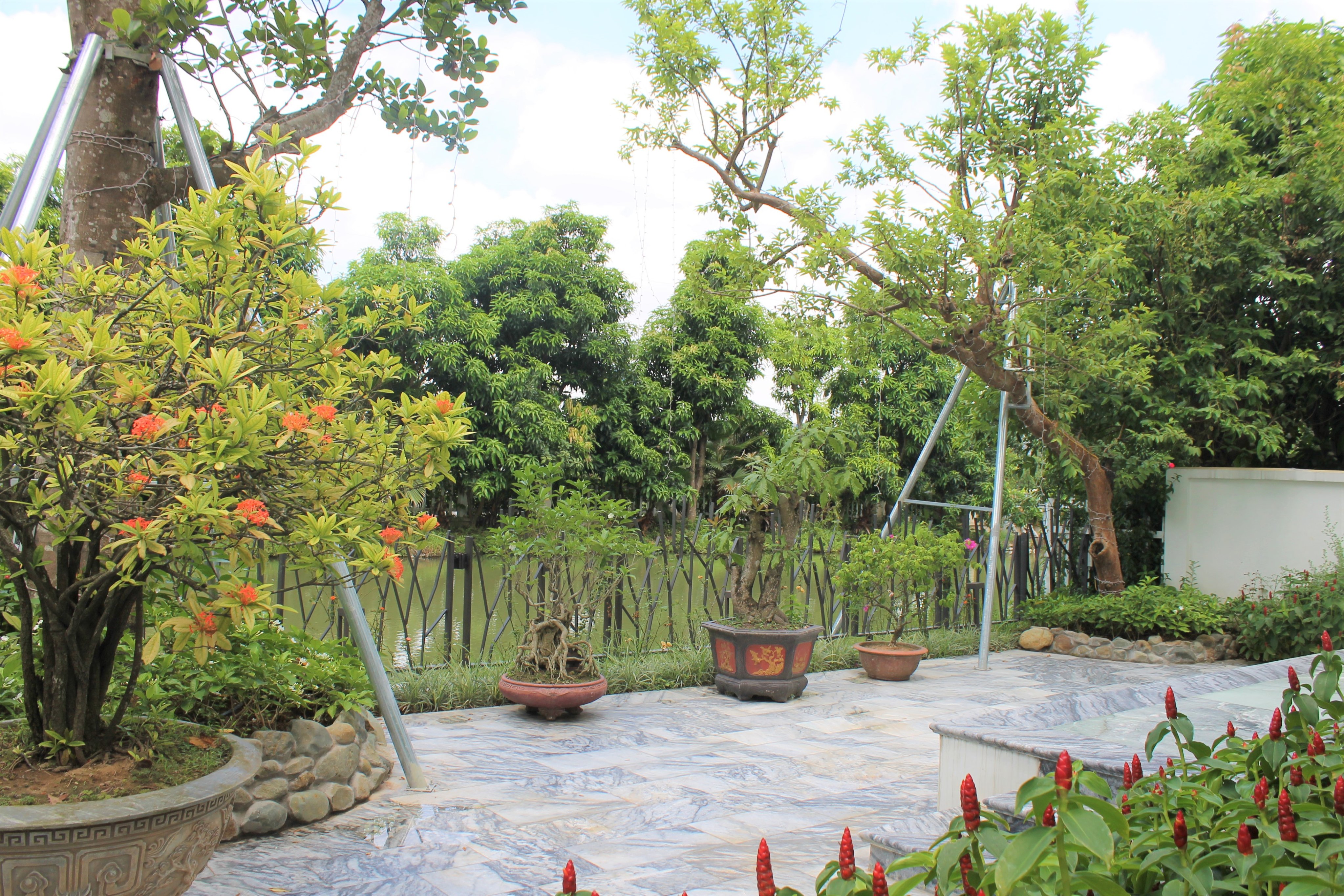 Cho thuê biệt thự đơn lập Hoa Phượng Vinhomes Riverside 8
