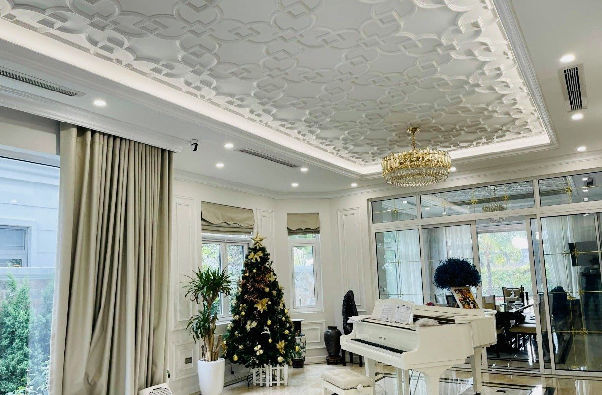 Cho thuê biệt thự đơn lập view sông Vinhomes The Harmony DT 345m2, full nội thất hiện đại 3