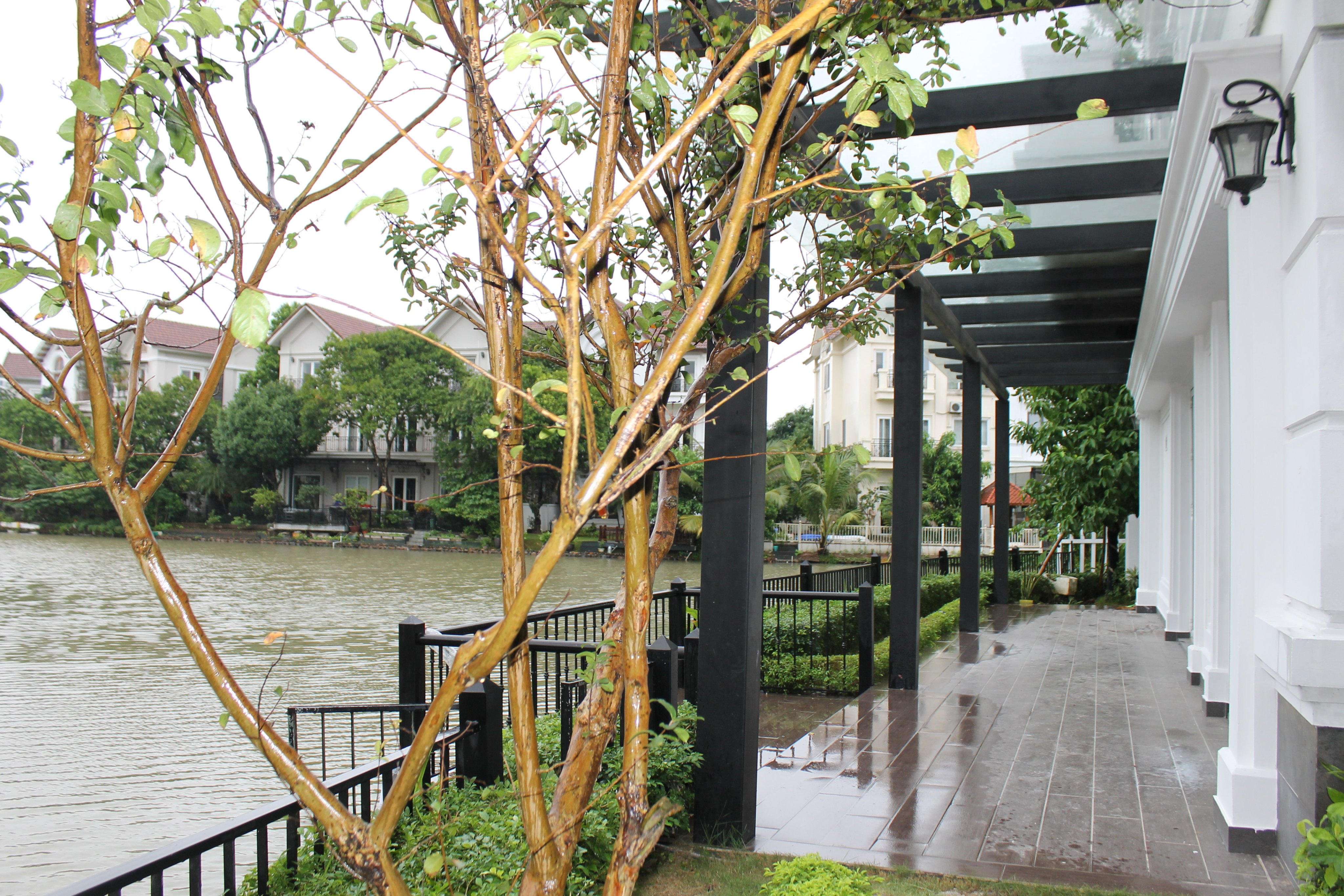 Cho thuê biệt thự đơn lập ngã ba sông Hoa sữa Vinhomes Riverside 7