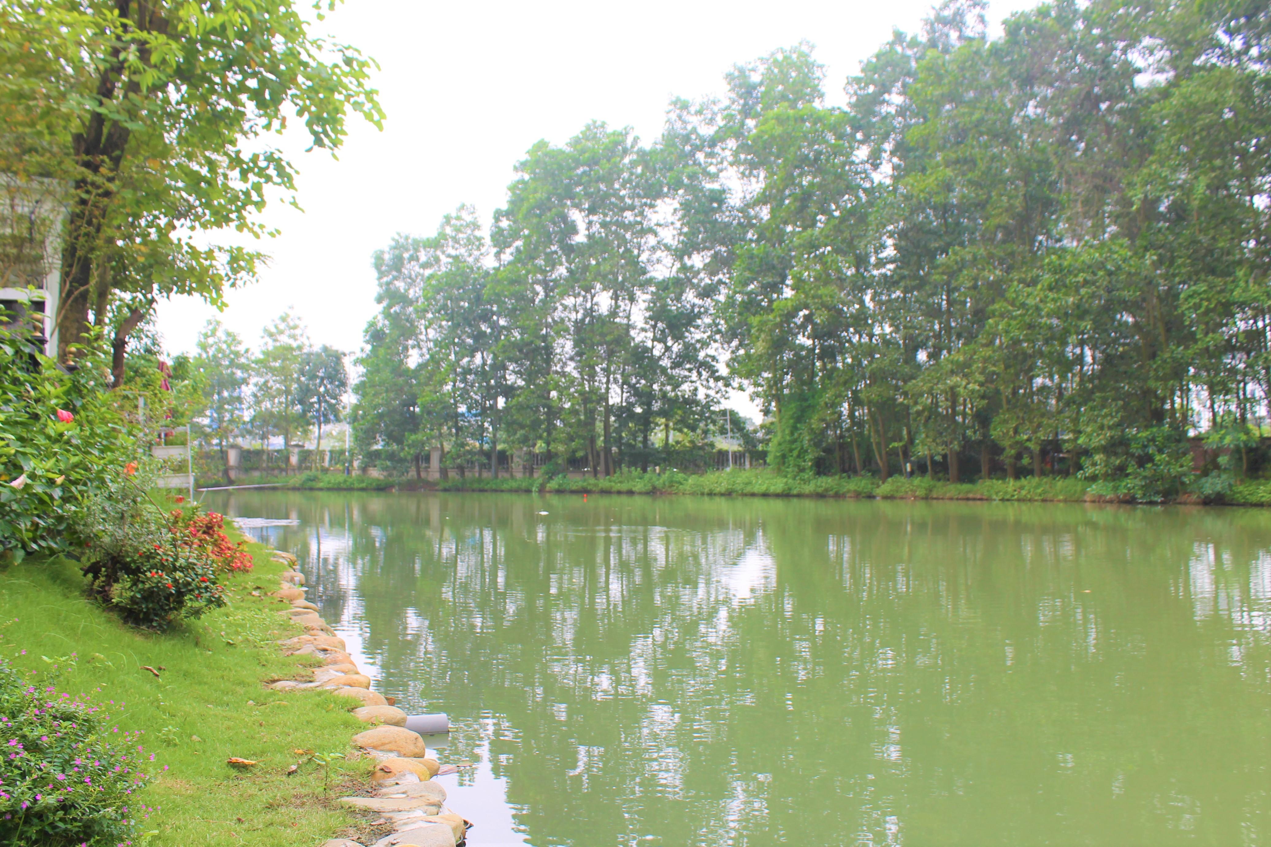 Cho thuê biệt thự Hoa Sữa đẹp sân vườn rộng Vinhomes Riverside Long Biên 5