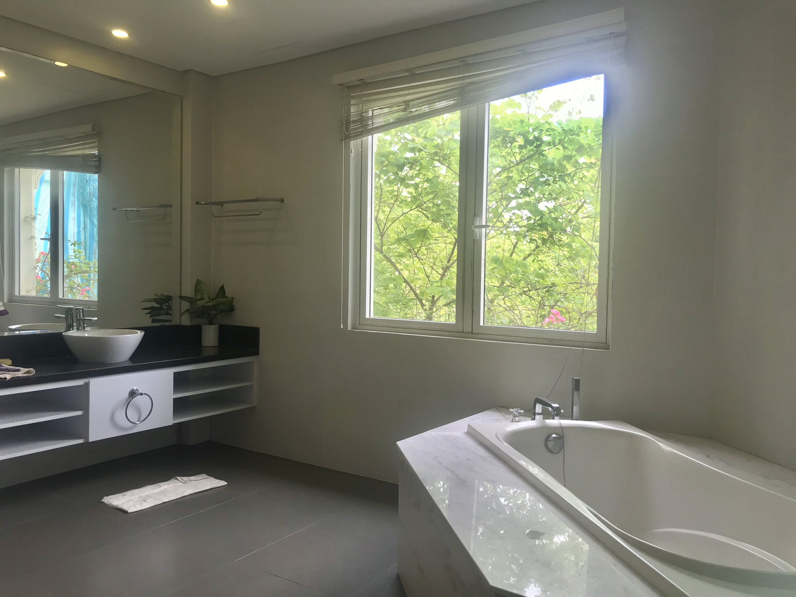 Cho thuê biệt thự sân vườn đủ đồ Hoa Sữa Vinhomes Riverside 9