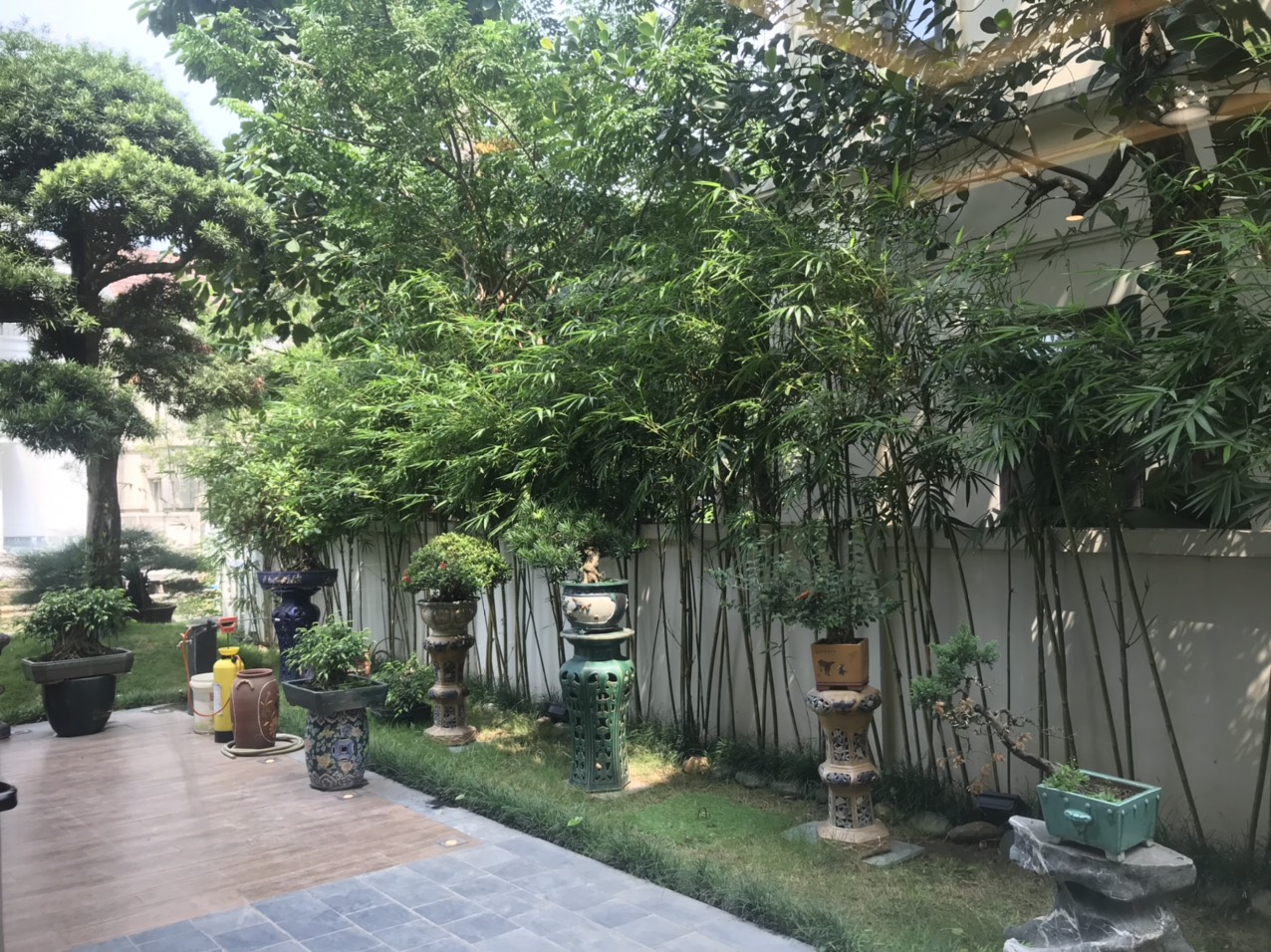 Cho thuê biệt thự Song lập khu Hoa phượng 3 tại Vinhomes Riverside Long Biên 4