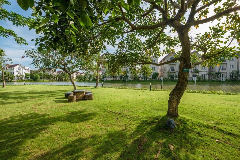 Phong cảnh yên bình tại Vinhomes Riverside