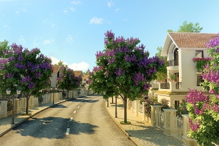 Bằng Lăng Village